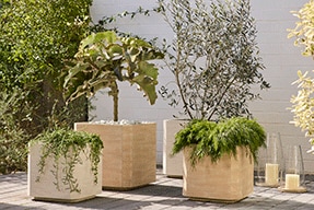 Garden Shop