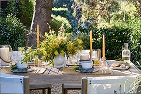 Outdoor dinnerware Collections